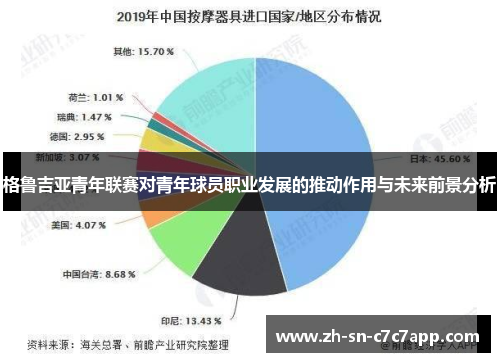 格鲁吉亚青年联赛对青年球员职业发展的推动作用与未来前景分析
