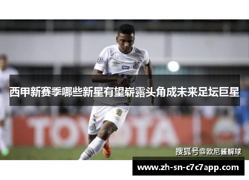 西甲新赛季哪些新星有望崭露头角成未来足坛巨星