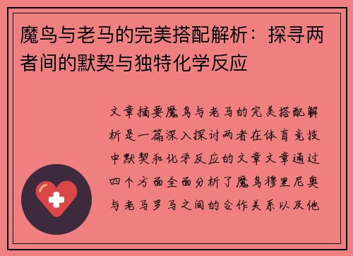 魔鸟与老马的完美搭配解析：探寻两者间的默契与独特化学反应